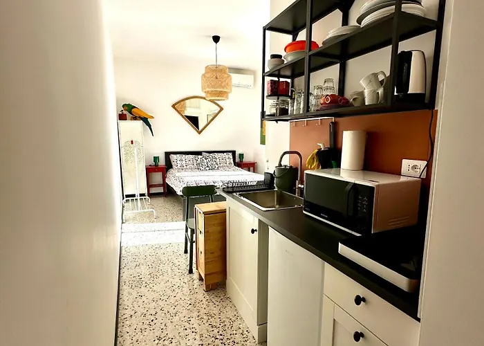 Ai Parrocchetti, Loft Con Terrazza Panoramica Rom